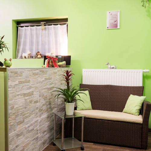 tierzuliebe_palmetzhofer_salon_1