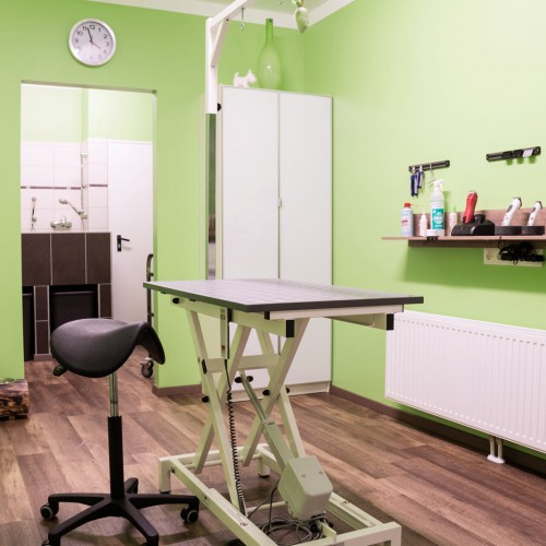 tierzuliebe_palmetzhofer_salon_2